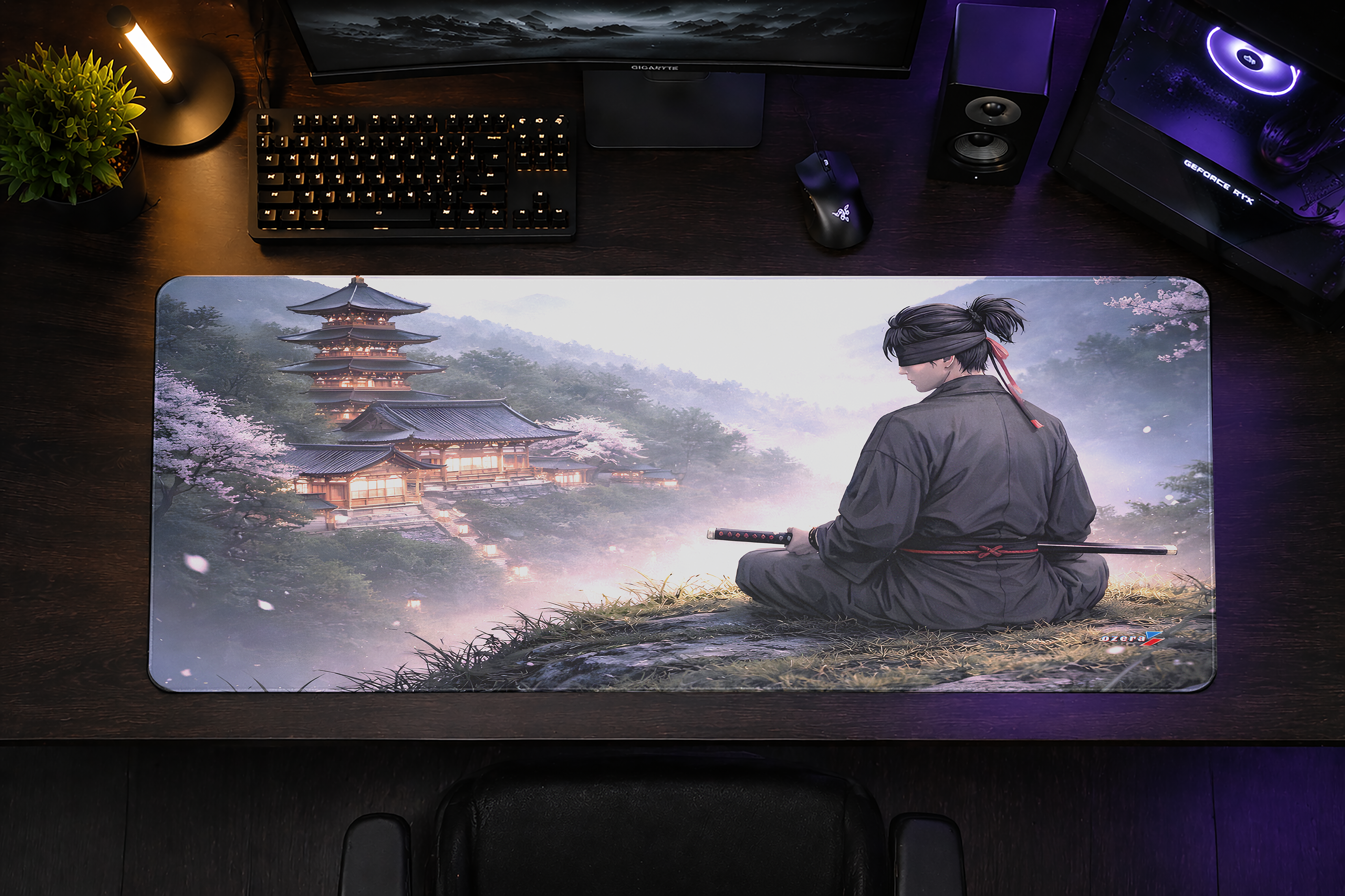 Zen Warrior Solitude