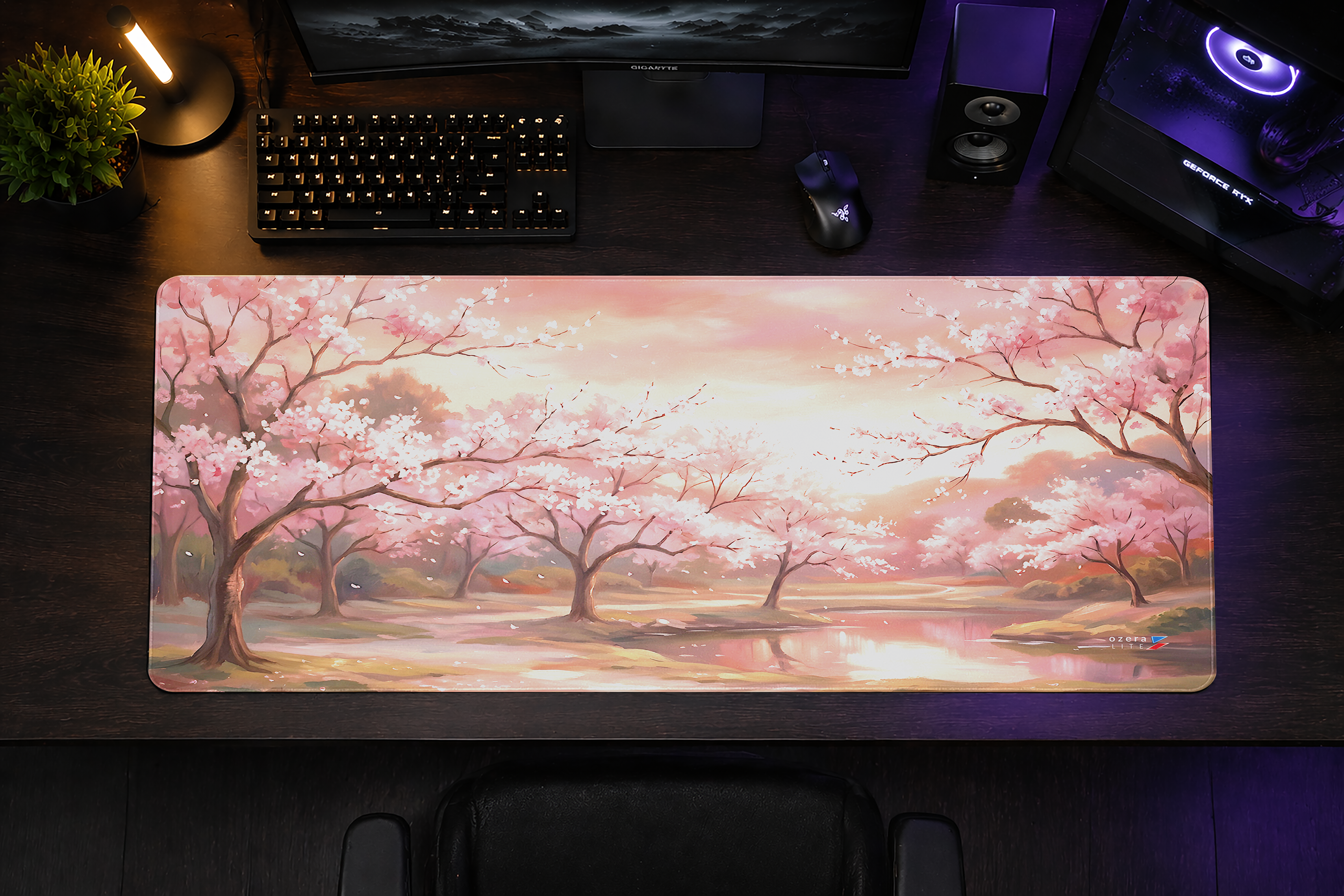 Sakura Bloom Serenity